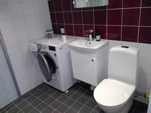 赫尔辛堡Attefallshus byggt 2019的一间带卫生间和水槽的浴室