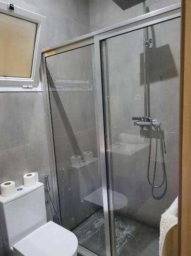 埃斯帕戈斯ENZO APARTAMENTO T0的带淋浴、卫生间和盥洗盆的浴室