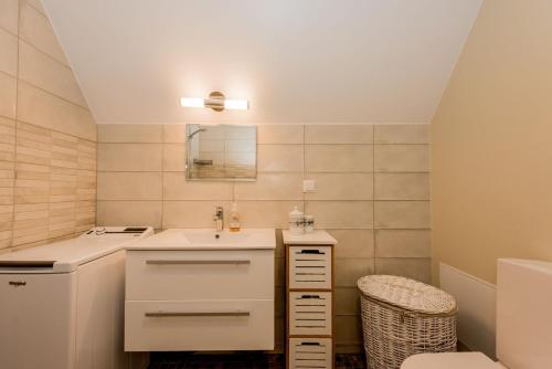 派尔努Karjamaa Apartment with Garden的一间带水槽和镜子的小浴室