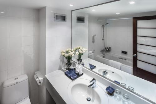 Ban Huai Sai Nua清迈阿尔卑斯高尔夫度假酒店的一间带水槽、卫生间和镜子的浴室