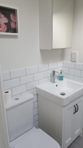 布里斯托The Cottage的白色的浴室设有水槽和卫生间。