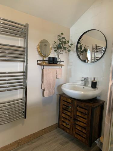 朗塞斯顿1 bedroom woodland cabin的一间带水槽和镜子的浴室