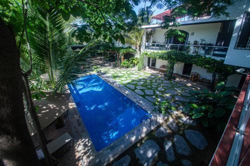 新巴利亚塔Villas Parota Inn的房屋前游泳池的顶部景色