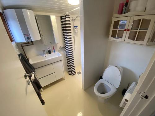 纳克斯考Pomonahouse的一间带卫生间、水槽和镜子的浴室