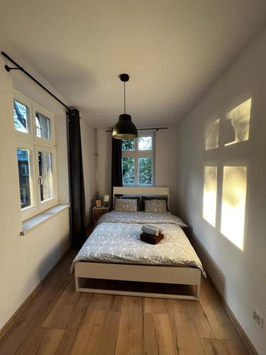 比得哥什Plac Poznański Apartament的一间卧室设有一张床和两个窗户。