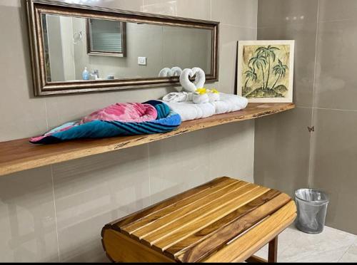 CastaraCastara Inn的浴室设有毛巾架和镜子