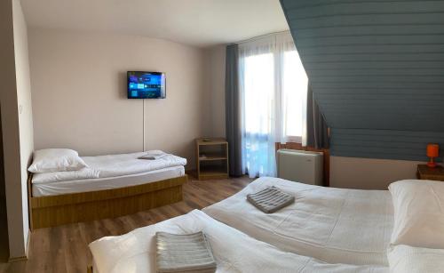 豪伊杜索博斯洛OwlCastle-Bagolyvár的一间酒店客房,设有两张床和电视