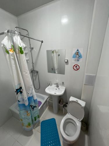 TengizBereke的一间带卫生间和水槽的浴室