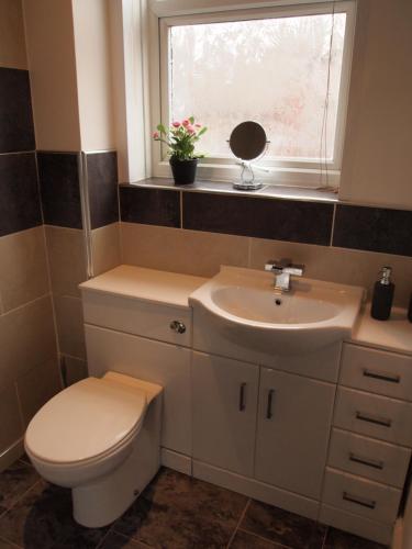 米德尔斯伯勒Hello Middlesbrough的一间带卫生间、水槽和窗户的浴室