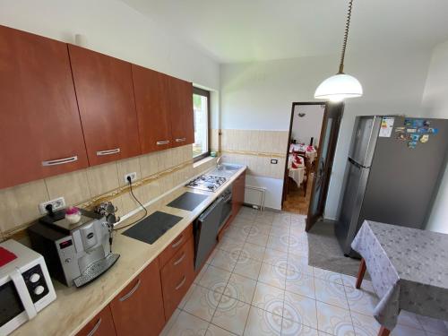 察赫劳Pensiunea Casa Pancu的厨房配有木制橱柜和不锈钢冰箱。