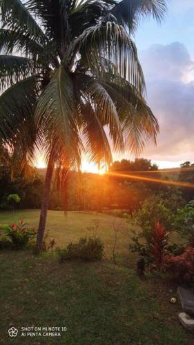 Gros-MorneVilla tropicale charmant T2 dans un cadre verdoyant的棕榈树,背景是日落