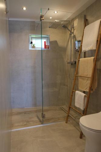 Porto JudeuAzores 5 estrelas的浴室里设有玻璃门淋浴