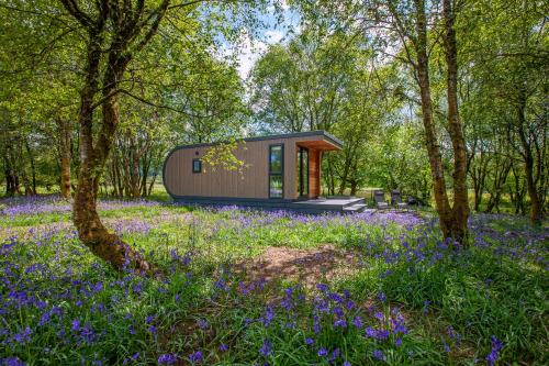 BenderlochEwe pod, luxury glamping pod with hot tub, Croft4glamping的树林里的小房子,花紫色