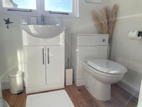 ThurltonChurch Farm的白色的浴室设有水槽和卫生间。