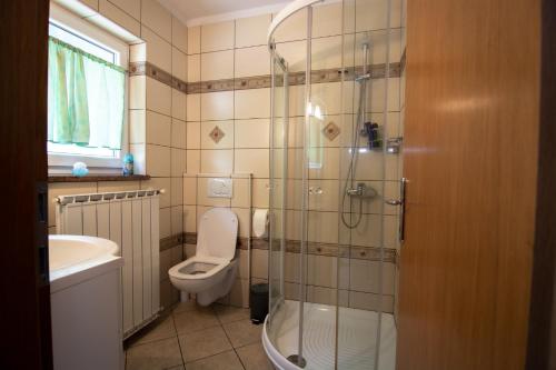伊利尔斯卡比斯特里察Guest house Kočanija的带淋浴、卫生间和盥洗盆的浴室