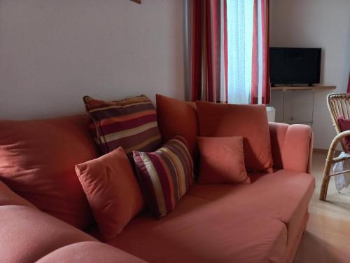 格伦德尔湖迪莱克特湖畔公寓的客厅配有带枕头的沙发。