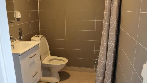 普马拉Pistohiekka Resort的浴室配有卫生间、盥洗盆和淋浴。