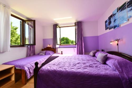 拉斯托瓦卡Apartment Mlađen的紫色卧室设有两张床和两扇窗户