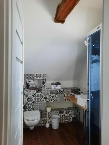 Uherce Mineralne (7)Apartament na górce的一间带卫生间和水槽的浴室