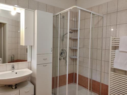 下帕霍克Bodzafa Apartman的带淋浴和盥洗盆的浴室