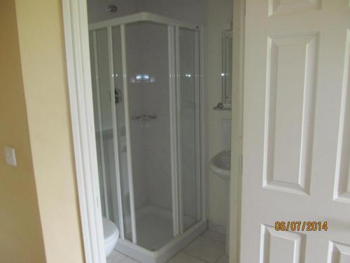 特拉利Holiday Home Tralee Ireland的一个带水槽的玻璃淋浴间