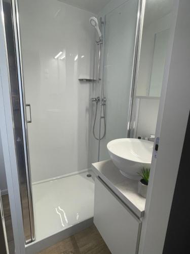 比奥格勒·纳·莫鲁Mobile Home BARTOL de LUX的带淋浴和盥洗盆的白色浴室
