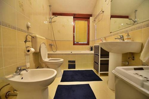 萨拉热窝Central Park Gallery的浴室配有盥洗盆、卫生间和盥洗盆。
