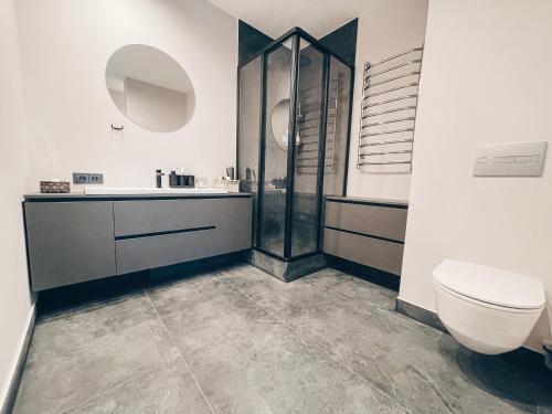 马热伊基艾Pavasario g. apartamentai的带淋浴、卫生间和盥洗盆的浴室
