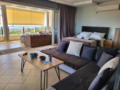 萨罗尼扎''Stergiou Luxury Apartment 2nd Floor'' με κοινη πισινα的客厅配有沙发和1张床