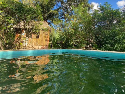 Encantadora Villa Maya tradicional en Rancho Agroecologico内部或周边的泳池