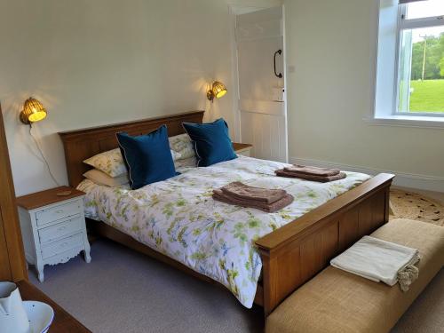 罗厄德南Blair Cottage的一间卧室配有一张带蓝色枕头的床和一扇窗户。