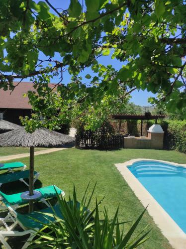 塞特尼尔Casa Rural Las Bodegas的一个带椅子和遮阳伞的庭院和一个游泳池