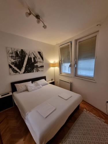 弗拉涅Apartman Veselinovic Free PARKING的卧室配有白色的床和2扇窗户。