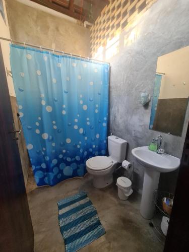 戈亚斯MAEVE Suíte Campo的浴室设有卫生间和蓝色的浴帘。