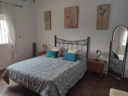托罗克斯Casa rural Villa Miradri的一间卧室配有一张带蓝色枕头和镜子的床