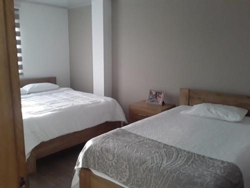 蒙波斯Hotel Filigrana Mompox的一间卧室配有两张床,还有一个床头柜和一张照片
