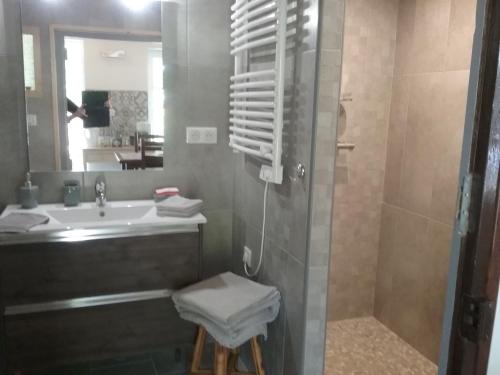 蒙特里夏尔Le Pavillon Tilia的浴室配有盥洗盆和带镜子的淋浴