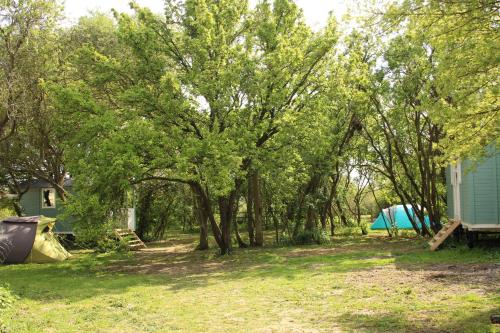 斯托马基特The Tawny Shepherd Hut, Whitehouse Farm的帐篷营地和一群树木