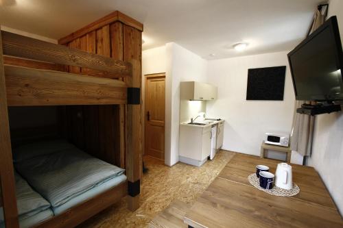 Dolni DvurJanova Bouda的一间小房间,配有双层床和电视