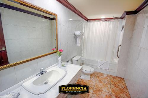 特古西加尔巴FLORENCIA PLAZA HOTEL的一间带水槽、卫生间和镜子的浴室