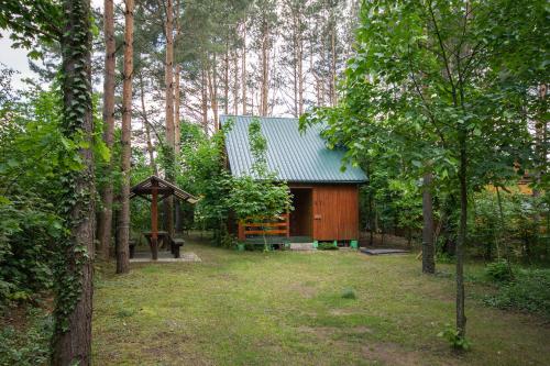 ŁukaLeśny Zakątek的森林中带绿色屋顶的小屋