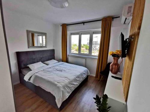蒂米什瓦拉Lovely 3-bedroom apartment in the city center的一间卧室设有一张大床和一个窗户。