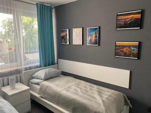 凯尔采Apartament w ZIELONEJ OKOLICY z TARASEM的卧室配有一张床,墙上挂有图片