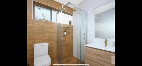 金德拜恩3 Bedroom Lakeview Cottage with Drying/Bike Room的带淋浴、卫生间和盥洗盆的浴室