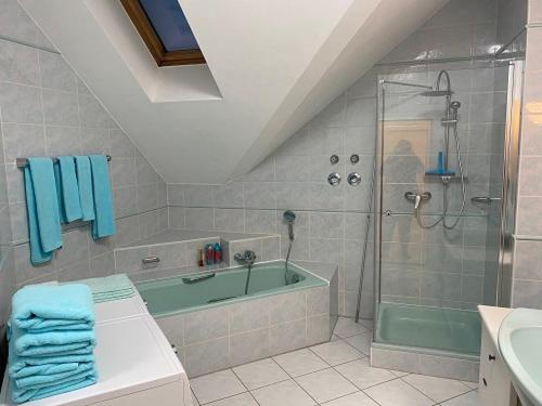 特劳恩施泰因Ferienwohnung Lichtgalerie的带淋浴、浴缸和盥洗盆的浴室