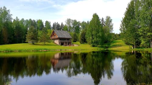 ZāģeriVilla Murmuļmuiža的小木屋,位于大型湖泊旁