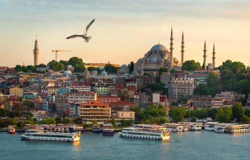 伊斯坦布尔Perazre Hotel的鸟在水中乘船飞越城市