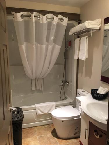 New Minas格林斯博罗酒店的带淋浴、卫生间和盥洗盆的浴室