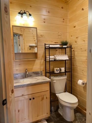 林肯Lincoln Log Cabins的一间带卫生间、水槽和镜子的浴室