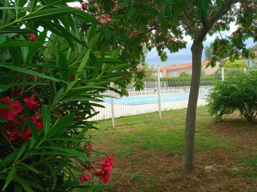 佩皮尼昂Villa perpignanaise的游泳池旁的围栏,有树
